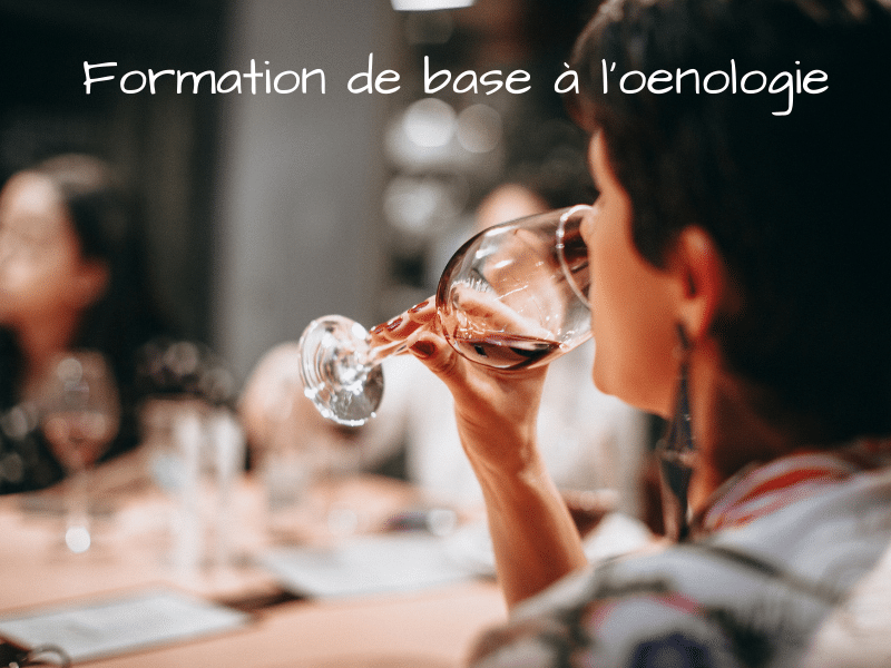 Formation courte sur les bases de l’oenologie